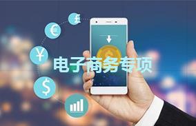 电子商务专项