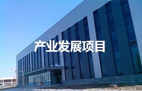 产业发展项目