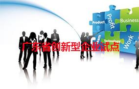广东省创新型企业试点