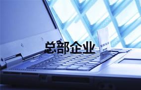 总部企业